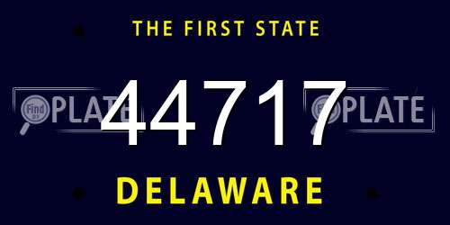 44717 Delaware License Plate
