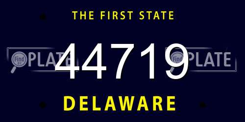 44719 Delaware License Plate