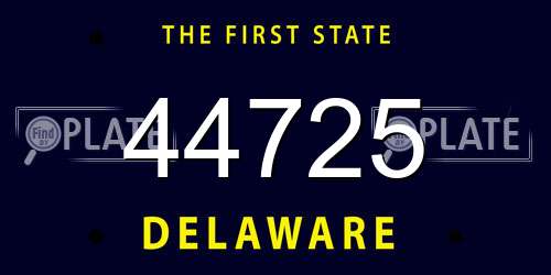 44725 Delaware License Plate