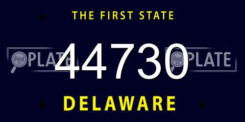 44730 Delaware License Plate