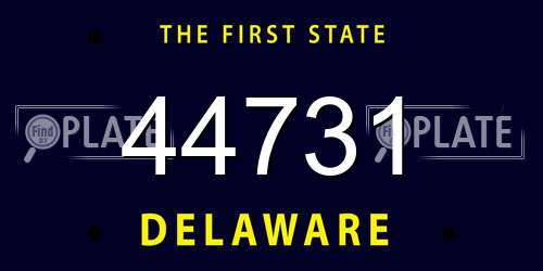 44731 Delaware License Plate