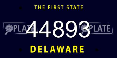 44893 Delaware License Plate