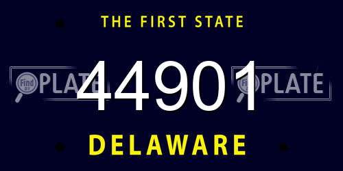 44901 Delaware License Plate