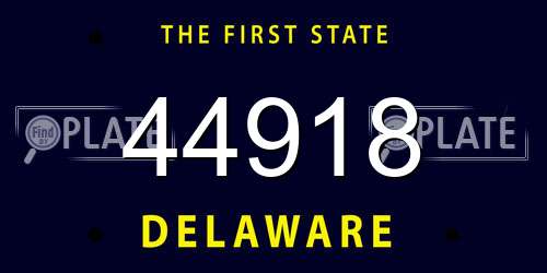 44918 Delaware License Plate