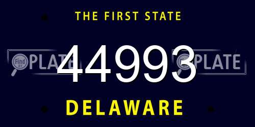 44993 Delaware License Plate
