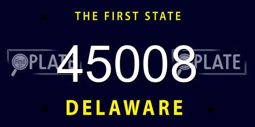 45008 Delaware License Plate