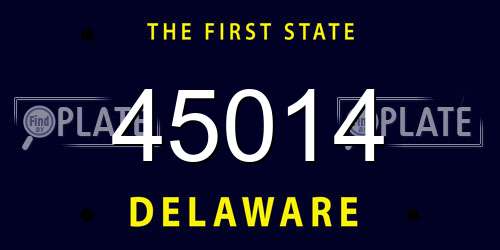 45014 Delaware License Plate