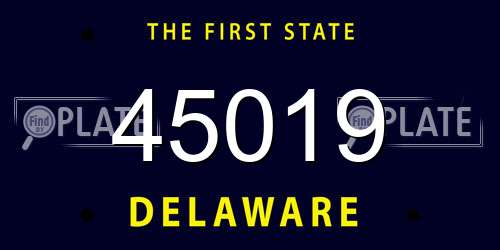 45019 Delaware License Plate