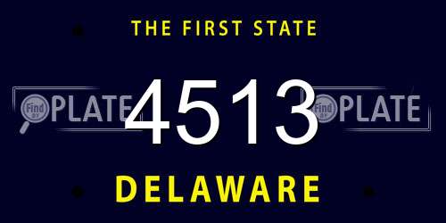 4513 Delaware License Plate