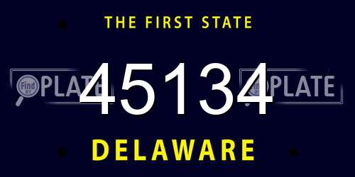 45134 Delaware License Plate