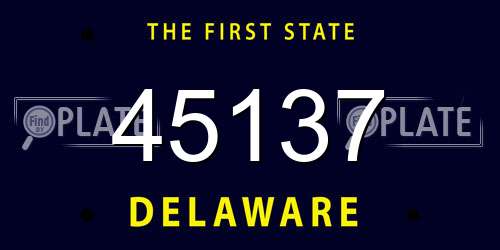 45137 Delaware License Plate