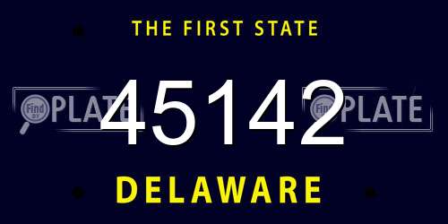 45142 Delaware License Plate