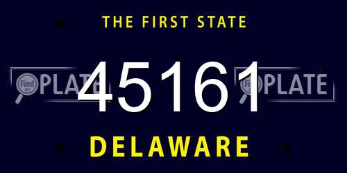 45161 Delaware License Plate