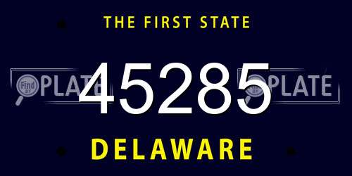 45285 Delaware License Plate