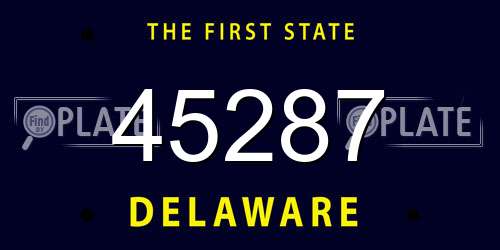 45287 Delaware License Plate