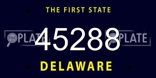 45288 Delaware License Plate