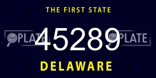 45289 Delaware License Plate