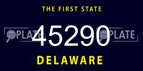 45290 Delaware License Plate