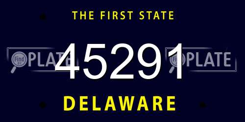 45291 Delaware License Plate