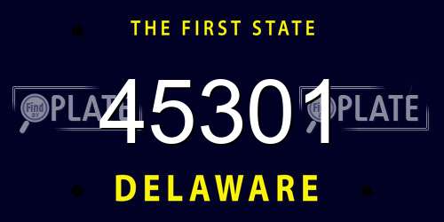45301 Delaware License Plate