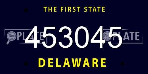 453045 Delaware License Plate