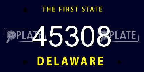 45308 Delaware License Plate