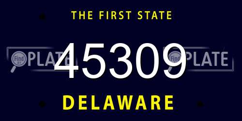 45309 Delaware License Plate