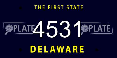 4531 Delaware License Plate