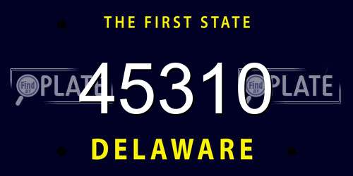 45310 Delaware License Plate