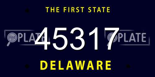 45317 Delaware License Plate