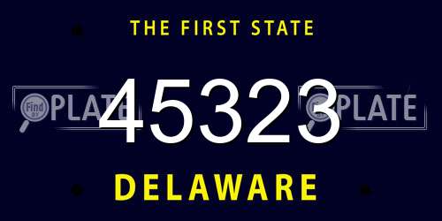 45323 Delaware License Plate