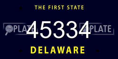 45334 Delaware License Plate