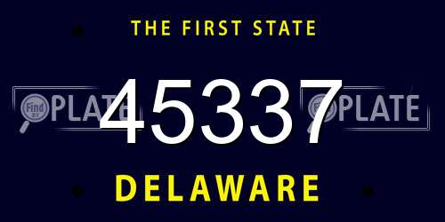45337 Delaware License Plate
