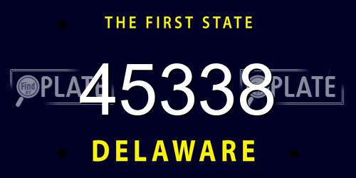 45338 Delaware License Plate