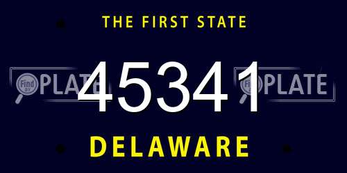45341 Delaware License Plate