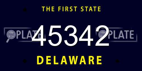 45342 Delaware License Plate