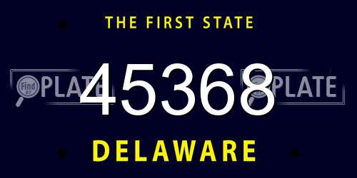 45368 Delaware License Plate