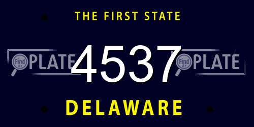 4537 Delaware License Plate
