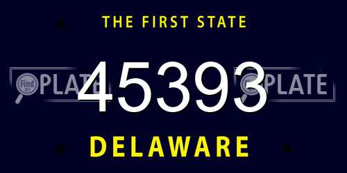 45393 Delaware License Plate