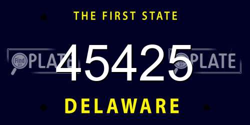 45425 Delaware License Plate
