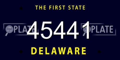 45441 Delaware License Plate