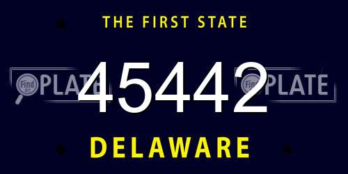 45442 Delaware License Plate