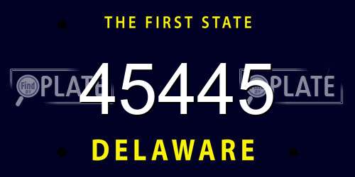 45445 Delaware License Plate