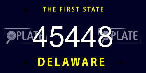 45448 Delaware License Plate