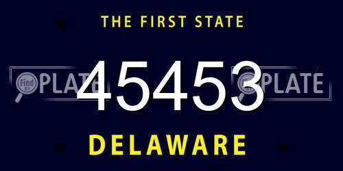 45453 Delaware License Plate