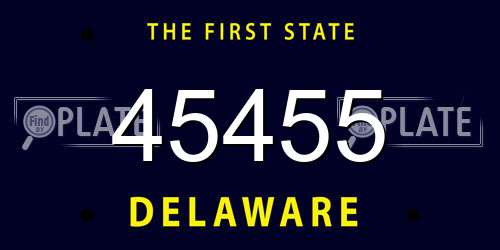 45455 Delaware License Plate