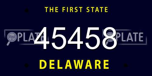 45458 Delaware License Plate