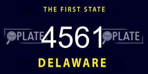 4561 Delaware License Plate