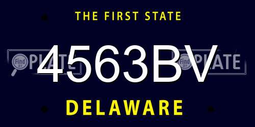 4563BV Delaware License Plate