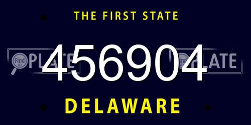 456904 Delaware License Plate